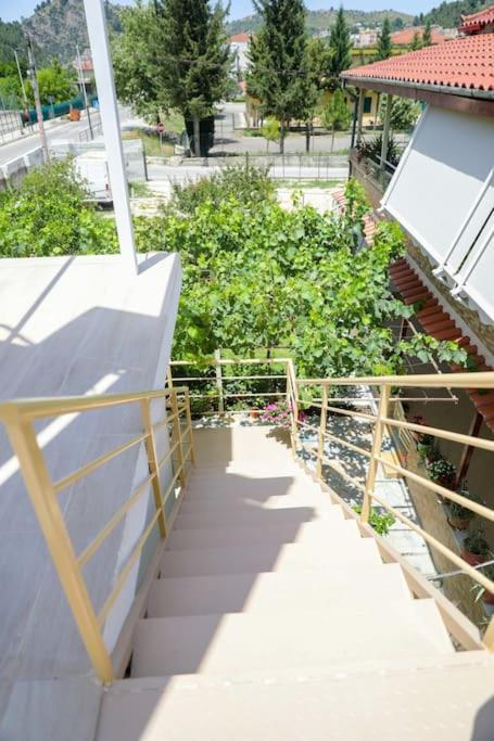 Cereni Guesthouse Berat Bagian luar foto