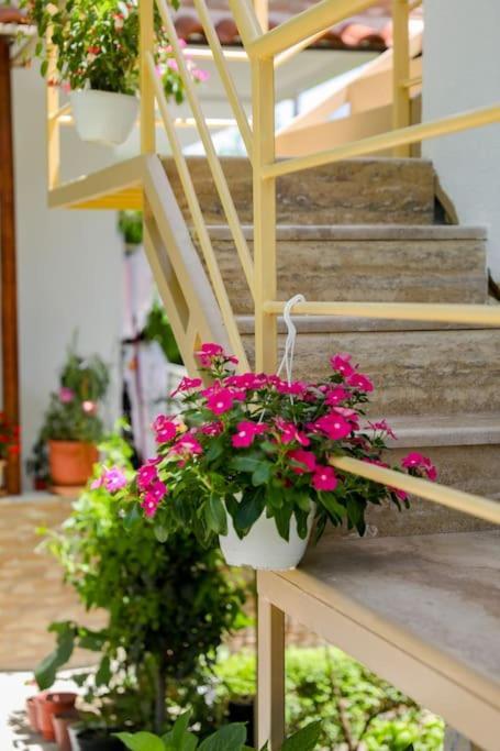 Cereni Guesthouse Berat Bagian luar foto